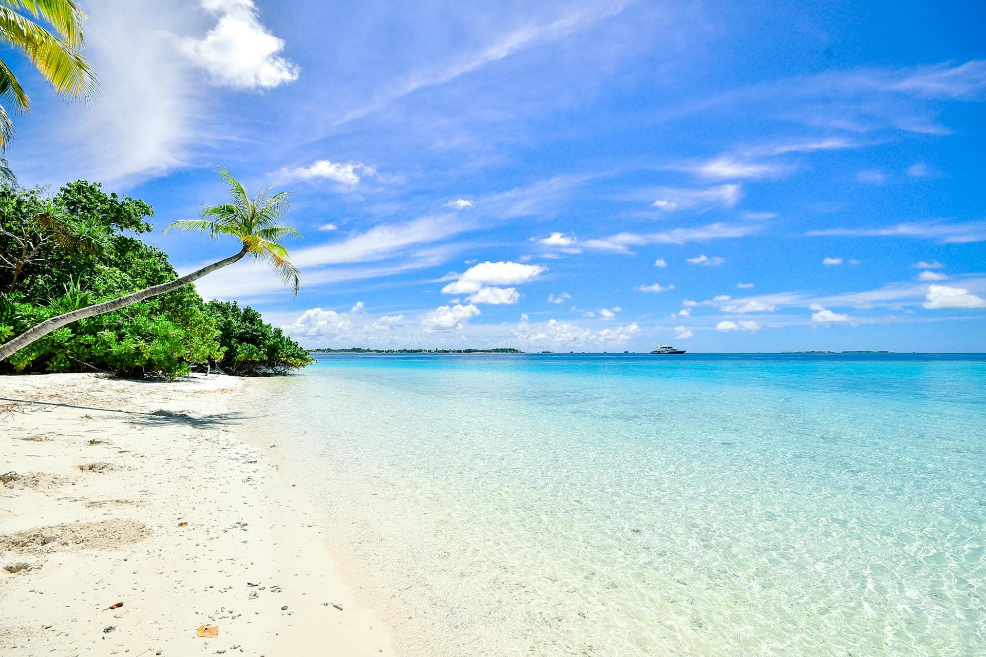 Resort feature view